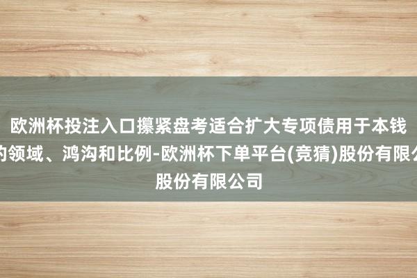 欧洲杯投注入口攥紧盘考适合扩大专项债用于本钱金的领域、鸿沟和比例-欧洲杯下单平台(竞猜)股份有限公司