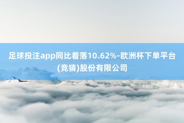 足球投注app同比着落10.62%-欧洲杯下单平台(竞猜)股份有限公司