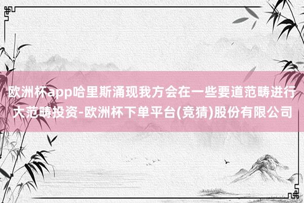 欧洲杯app哈里斯涌现我方会在一些要道范畴进行大范畴投资-欧洲杯下单平台(竞猜)股份有限公司