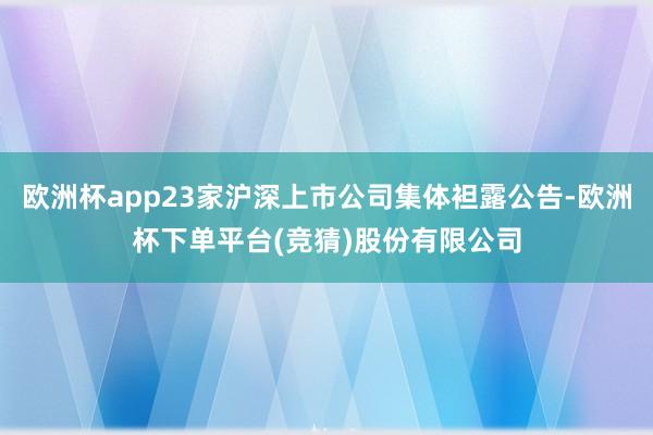 欧洲杯app23家沪深上市公司集体袒露公告-欧洲杯下单平台(竞猜)股份有限公司
