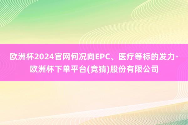 欧洲杯2024官网何况向EPC、医疗等标的发力-欧洲杯下单平台(竞猜)股份有限公司