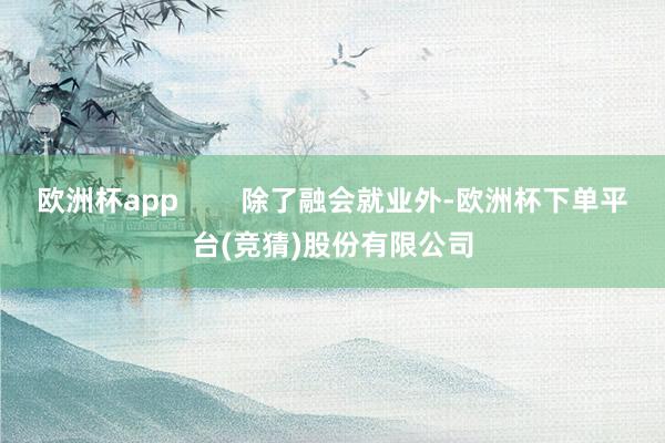 欧洲杯app        除了融会就业外-欧洲杯下单平台(竞猜)股份有限公司