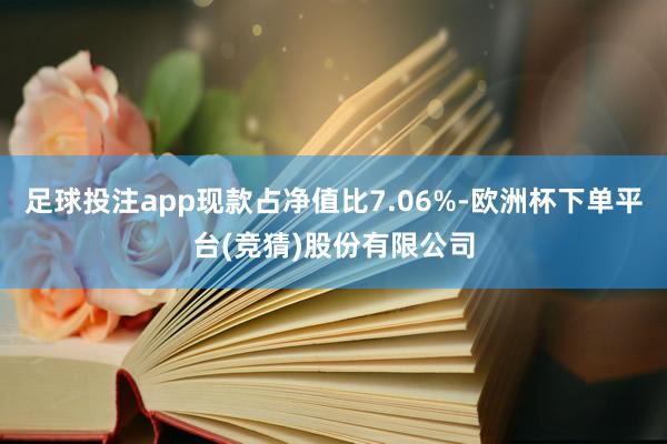 足球投注app现款占净值比7.06%-欧洲杯下单平台(竞猜)股份有限公司