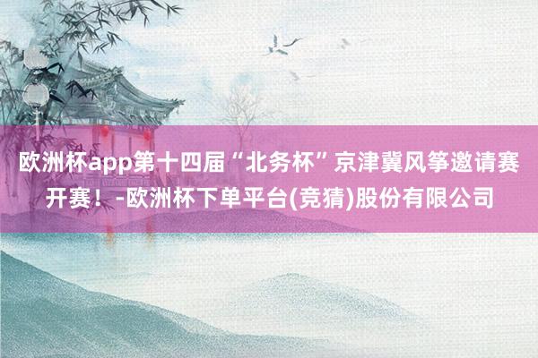 欧洲杯app第十四届“北务杯”京津冀风筝邀请赛开赛！-欧洲杯下单平台(竞猜)股份有限公司