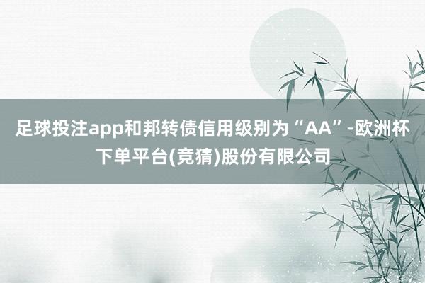 足球投注app和邦转债信用级别为“AA”-欧洲杯下单平台(竞猜)股份有限公司