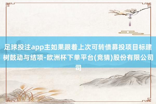 足球投注app主如果跟着上次可转债募投项目标建树鼓动与结项-欧洲杯下单平台(竞猜)股份有限公司