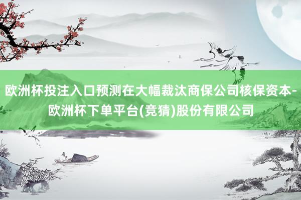 欧洲杯投注入口预测在大幅裁汰商保公司核保资本-欧洲杯下单平台(竞猜)股份有限公司
