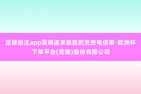 足球投注app莫得追求极致的充放电倍率-欧洲杯下单平台(竞猜)股份有限公司