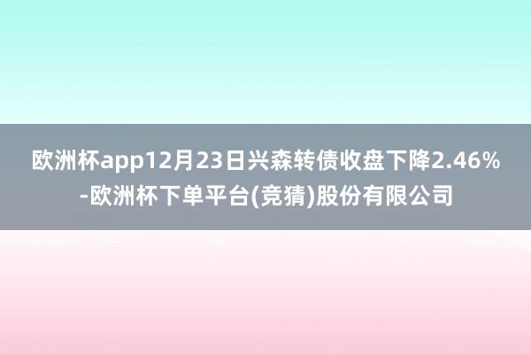 欧洲杯app12月23日兴森转债收盘下降2.46%-欧洲杯下单平台(竞猜)股份有限公司