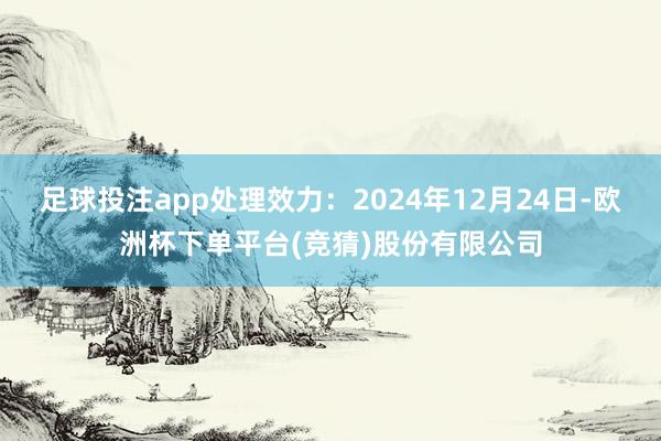 足球投注app处理效力：2024年12月24日-欧洲杯下单平台(竞猜)股份有限公司
