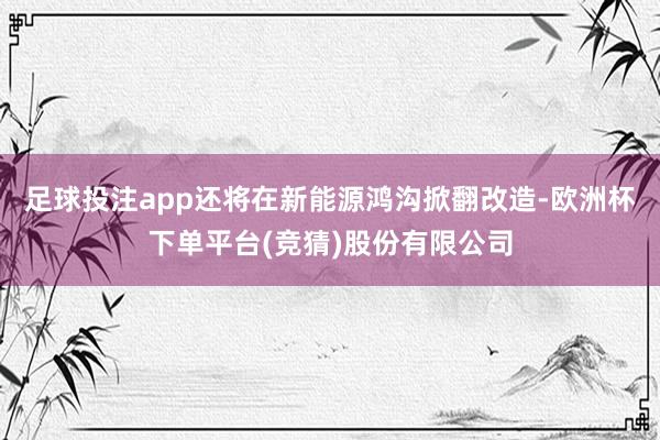 足球投注app还将在新能源鸿沟掀翻改造-欧洲杯下单平台(竞猜)股份有限公司