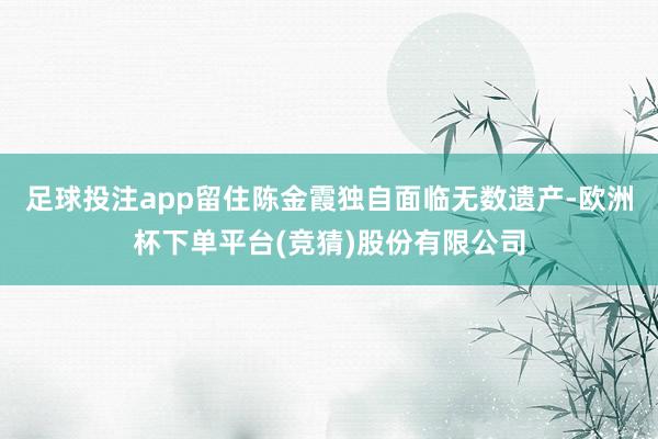 足球投注app留住陈金霞独自面临无数遗产-欧洲杯下单平台(竞猜)股份有限公司