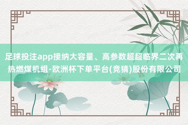 足球投注app接纳大容量、高参数超超临界二次再热燃煤机组-欧洲杯下单平台(竞猜)股份有限公司