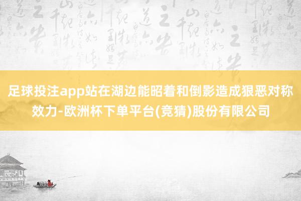 足球投注app站在湖边能昭着和倒影造成狠恶对称效力-欧洲杯下单平台(竞猜)股份有限公司