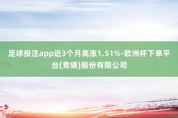 足球投注app近3个月高涨1.51%-欧洲杯下单平台(竞猜)股份有限公司