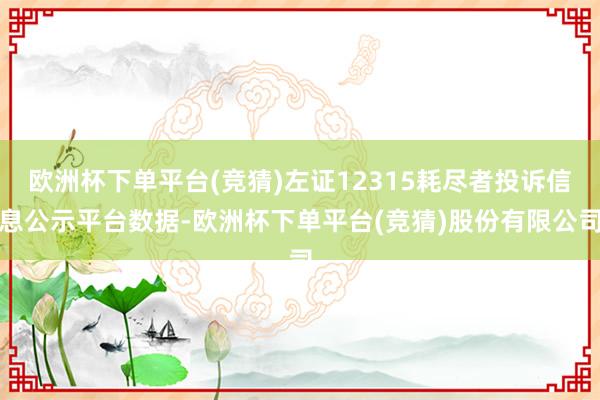 欧洲杯下单平台(竞猜)左证12315耗尽者投诉信息公示平台数据-欧洲杯下单平台(竞猜)股份有限公司