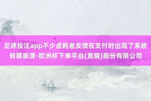 足球投注app不少虚耗者反馈在支付时出现了系统转眼崩溃-欧洲杯下单平台(竞猜)股份有限公司
