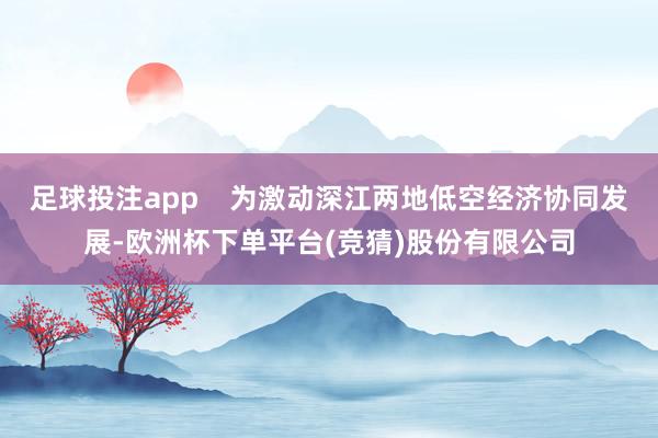 足球投注app    为激动深江两地低空经济协同发展-欧洲杯下单平台(竞猜)股份有限公司