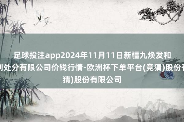 足球投注app2024年11月11日新疆九焕发和果品筹划处分有限公司价钱行情-欧洲杯下单平台(竞猜)股份有限公司