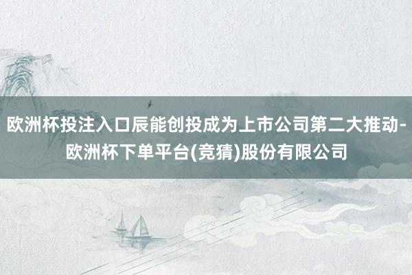 欧洲杯投注入口辰能创投成为上市公司第二大推动-欧洲杯下单平台(竞猜)股份有限公司
