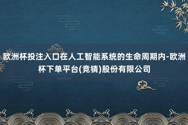 欧洲杯投注入口在人工智能系统的生命周期内-欧洲杯下单平台(竞猜)股份有限公司