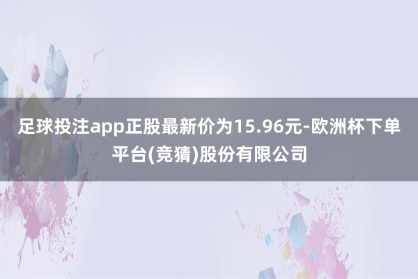 足球投注app正股最新价为15.96元-欧洲杯下单平台(竞猜)股份有限公司