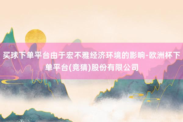 买球下单平台由于宏不雅经济环境的影响-欧洲杯下单平台(竞猜)股份有限公司
