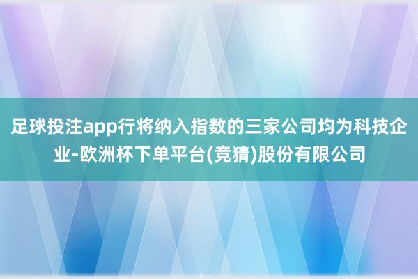 足球投注app行将纳入指数的三家公司均为科技企业-欧洲杯下单平台(竞猜)股份有限公司