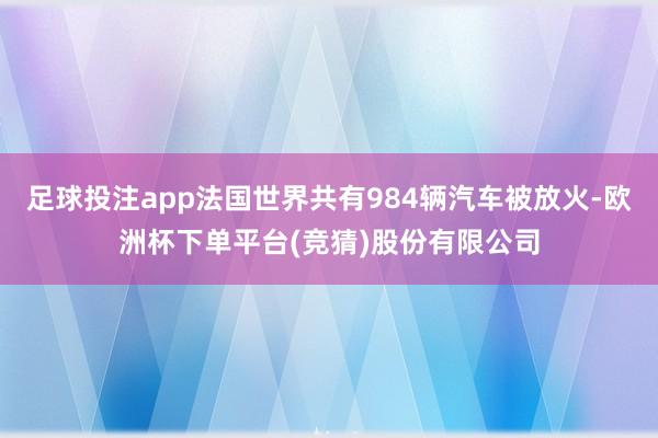 足球投注app法国世界共有984辆汽车被放火-欧洲杯下单平台(竞猜)股份有限公司