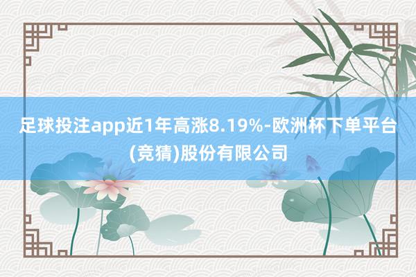 足球投注app近1年高涨8.19%-欧洲杯下单平台(竞猜)股份有限公司