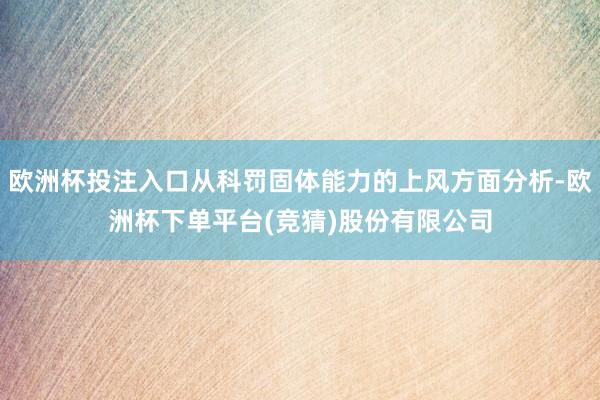 欧洲杯投注入口从科罚固体能力的上风方面分析-欧洲杯下单平台(竞猜)股份有限公司