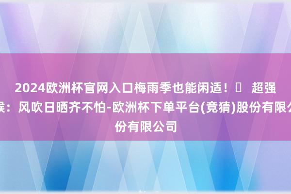 2024欧洲杯官网入口梅雨季也能闲适！✅ 超强耐候：风吹日晒齐不怕-欧洲杯下单平台(竞猜)股份有限公司