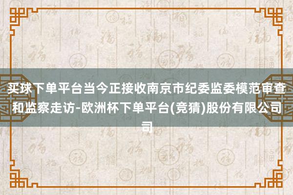 买球下单平台当今正接收南京市纪委监委模范审查和监察走访-欧洲杯下单平台(竞猜)股份有限公司