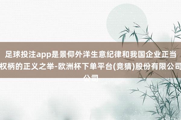 足球投注app是景仰外洋生意纪律和我国企业正当权柄的正义之举-欧洲杯下单平台(竞猜)股份有限公司