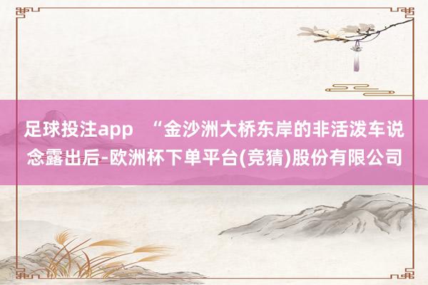 足球投注app   “金沙洲大桥东岸的非活泼车说念露出后-欧洲杯下单平台(竞猜)股份有限公司