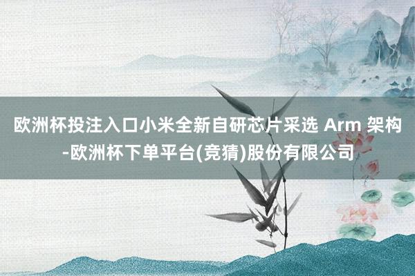 欧洲杯投注入口小米全新自研芯片采选 Arm 架构-欧洲杯下单平台(竞猜)股份有限公司