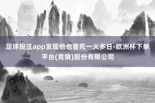 足球投注app发现他也曾死一火多日-欧洲杯下单平台(竞猜)股份有限公司