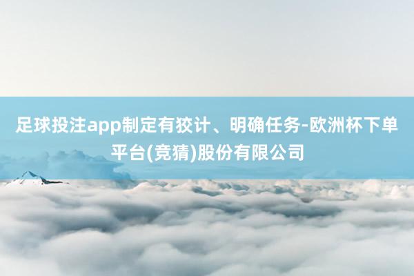 足球投注app制定有狡计、明确任务-欧洲杯下单平台(竞猜)股份有限公司