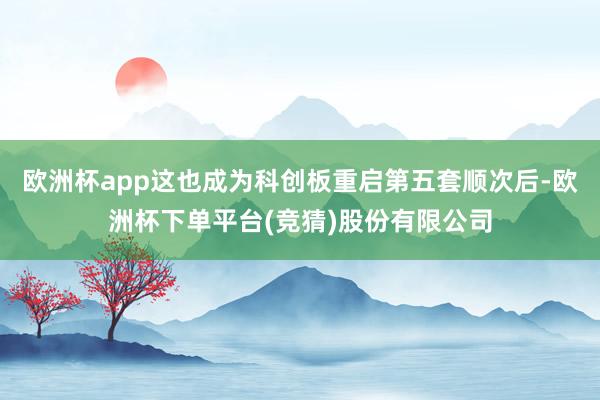 欧洲杯app这也成为科创板重启第五套顺次后-欧洲杯下单平台(竞猜)股份有限公司