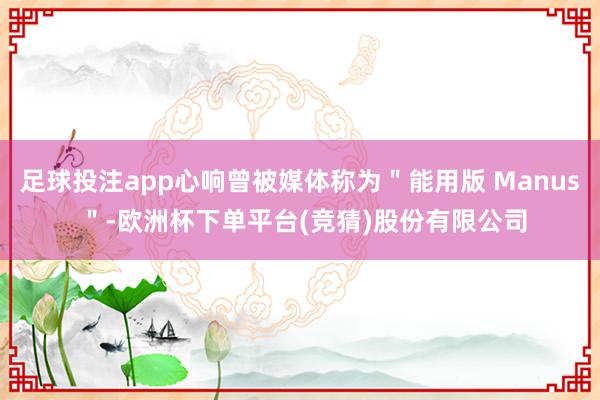 足球投注app心响曾被媒体称为＂能用版 Manus ＂-欧洲杯下单平台(竞猜)股份有限公司