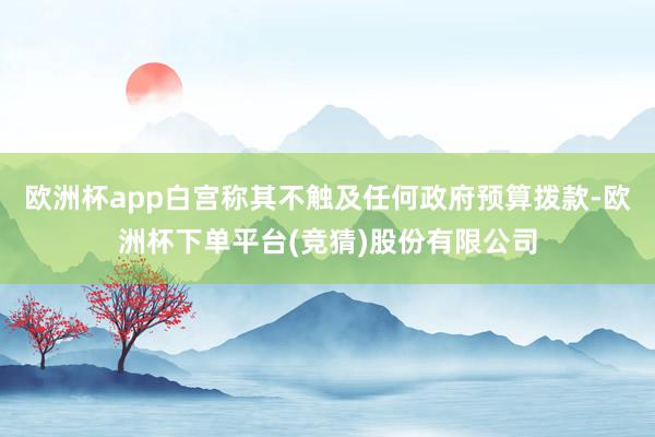 欧洲杯app白宫称其不触及任何政府预算拨款-欧洲杯下单平台(竞猜)股份有限公司