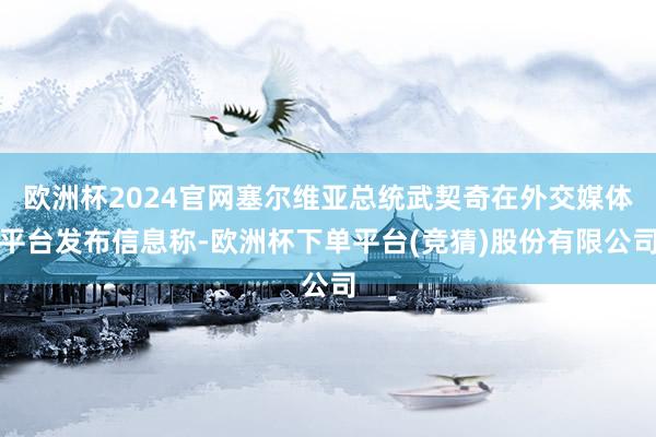 欧洲杯2024官网塞尔维亚总统武契奇在外交媒体平台发布信息称-欧洲杯下单平台(竞猜)股份有限公司