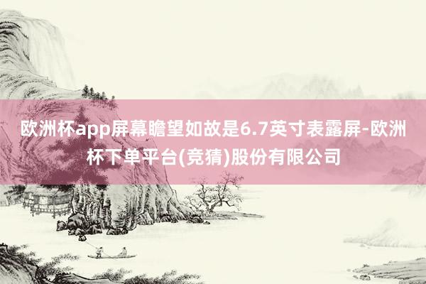 欧洲杯app屏幕瞻望如故是6.7英寸表露屏-欧洲杯下单平台(竞猜)股份有限公司