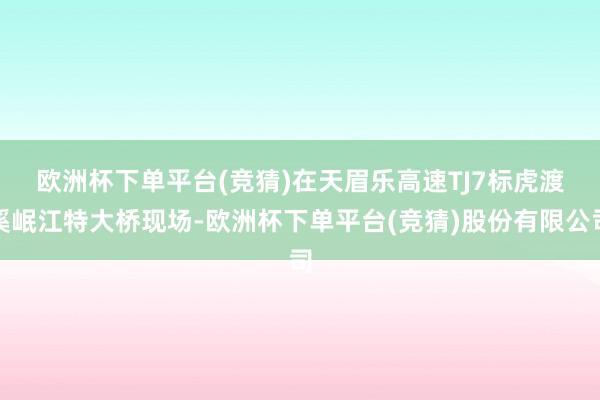 欧洲杯下单平台(竞猜)　　在天眉乐高速TJ7标虎渡溪岷江特大桥现场-欧洲杯下单平台(竞猜)股份有限公司