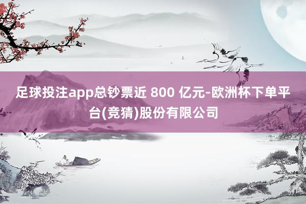 足球投注app总钞票近 800 亿元-欧洲杯下单平台(竞猜)股份有限公司