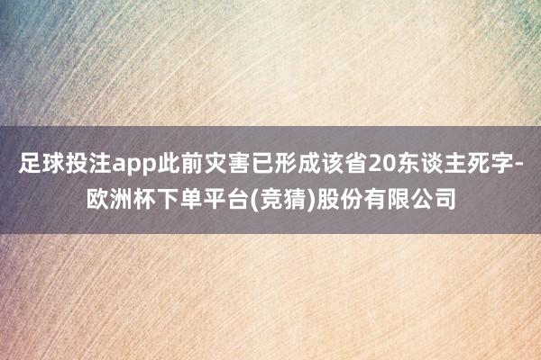 足球投注app此前灾害已形成该省20东谈主死字-欧洲杯下单平台(竞猜)股份有限公司