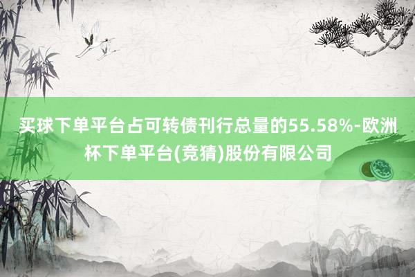 买球下单平台占可转债刊行总量的55.58%-欧洲杯下单平台(竞猜)股份有限公司