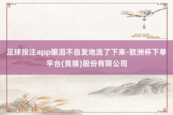足球投注app眼泪不自发地流了下来-欧洲杯下单平台(竞猜)股份有限公司