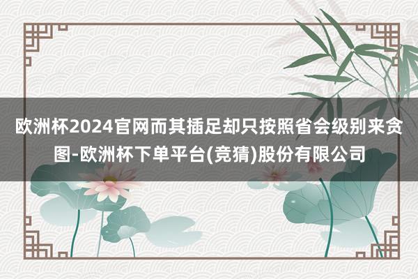 欧洲杯2024官网而其插足却只按照省会级别来贪图-欧洲杯下单平台(竞猜)股份有限公司