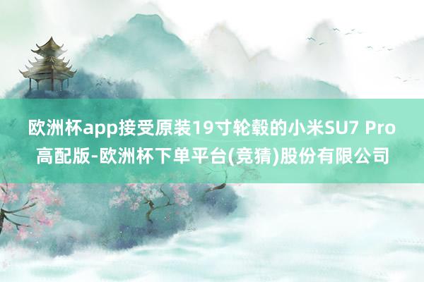 欧洲杯app接受原装19寸轮毂的小米SU7 Pro高配版-欧洲杯下单平台(竞猜)股份有限公司